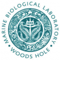 Marine Biological Laboratory - Woods Hole