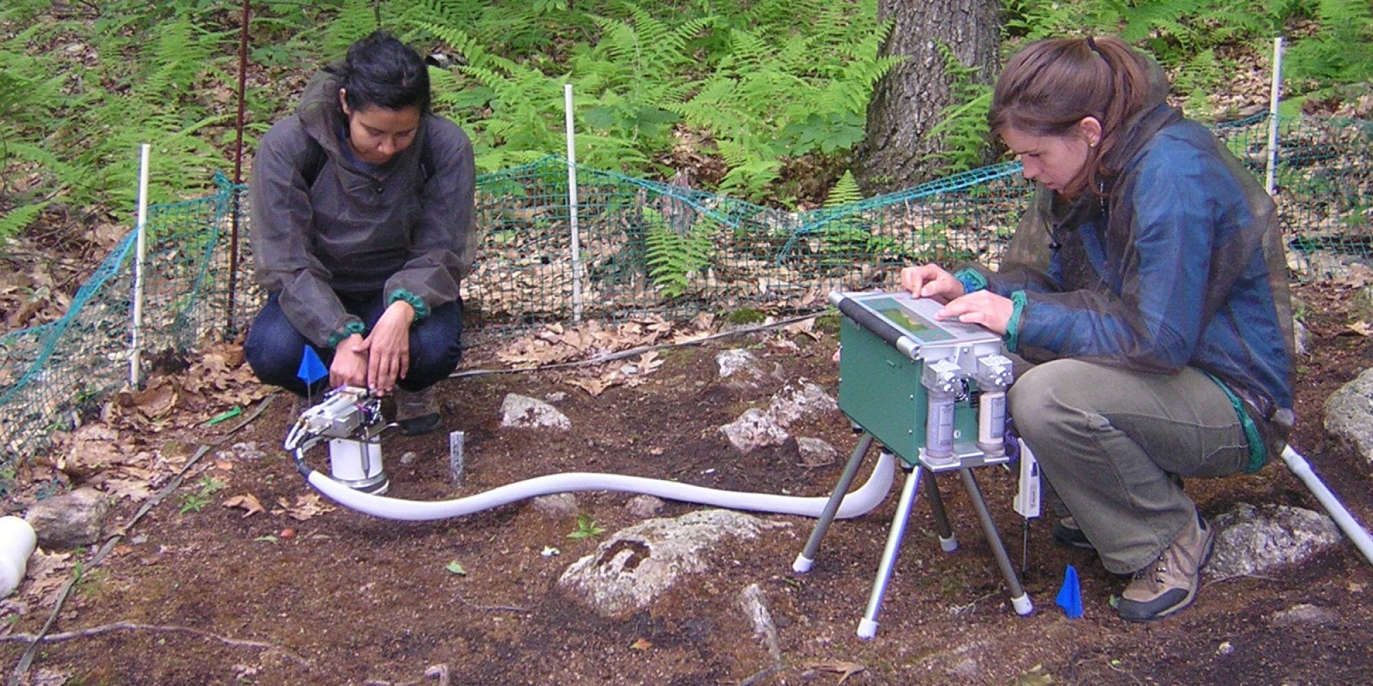 Measuring soil respiration at Harvard Forest